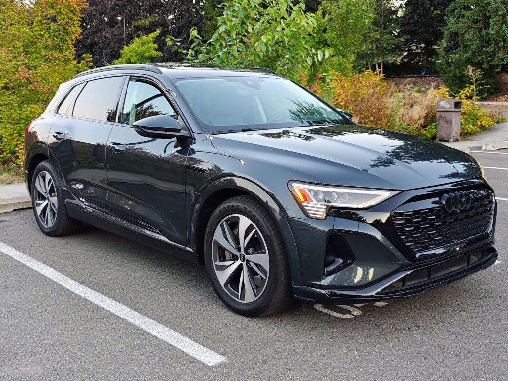 2024 Audi Q8 E-tron Image 1