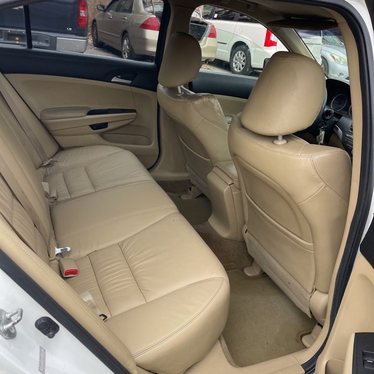 2011 Honda Accord Image 7