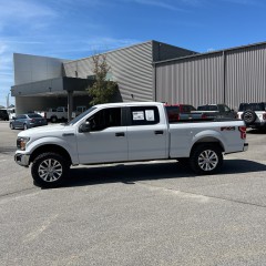 Image for 2019 Ford F-150 XL ID: 7281775