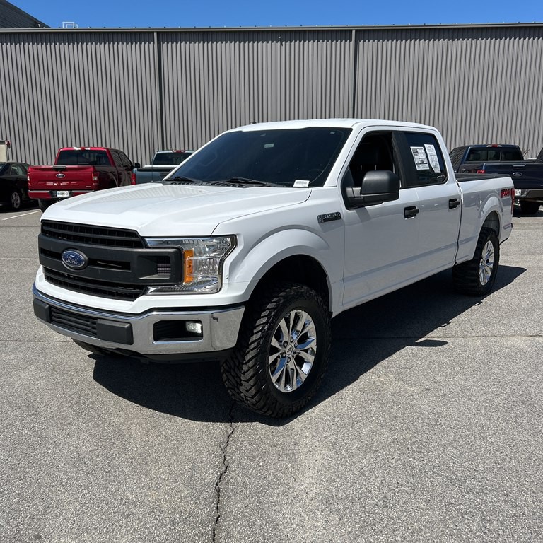 2019 Ford F-150 Image 3