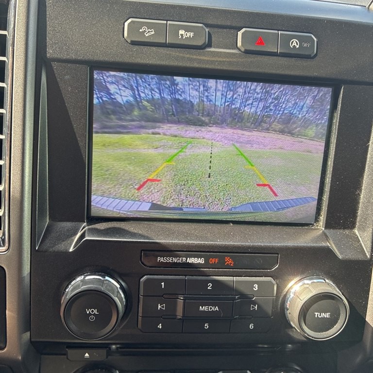 2017 Ford F-150 Image 4