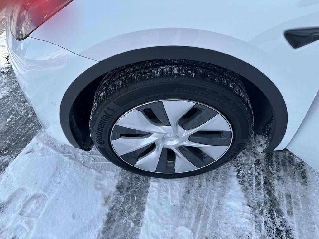 2021 Tesla Model Y Image 11