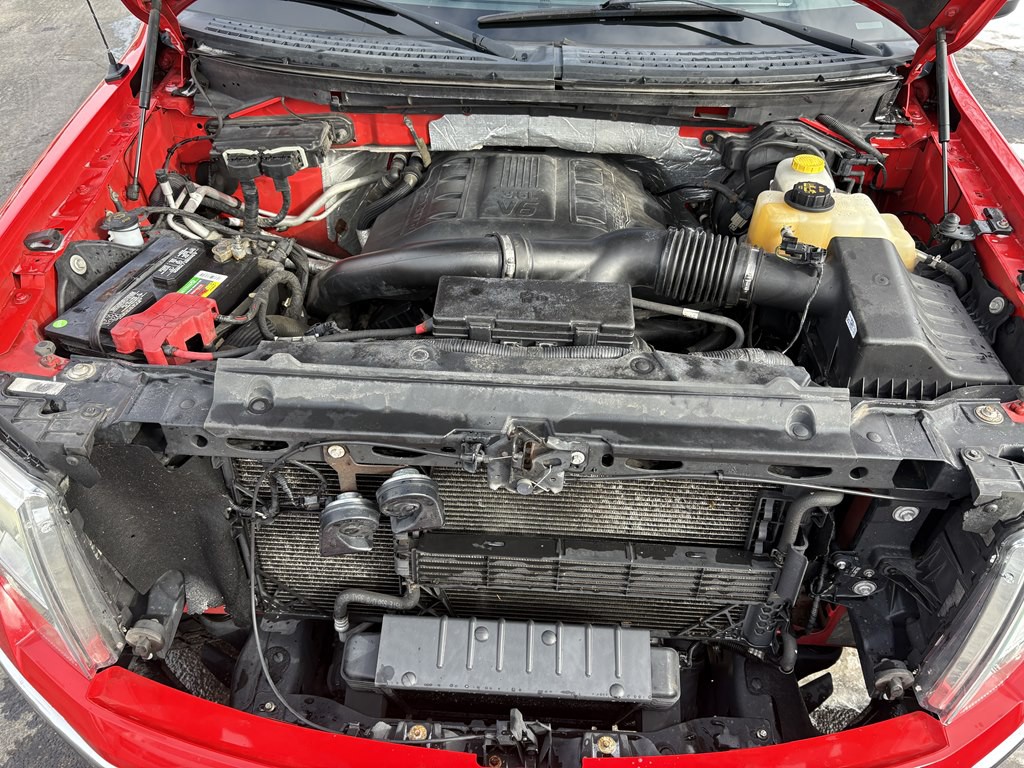 2014 Ford F-150 Image 12