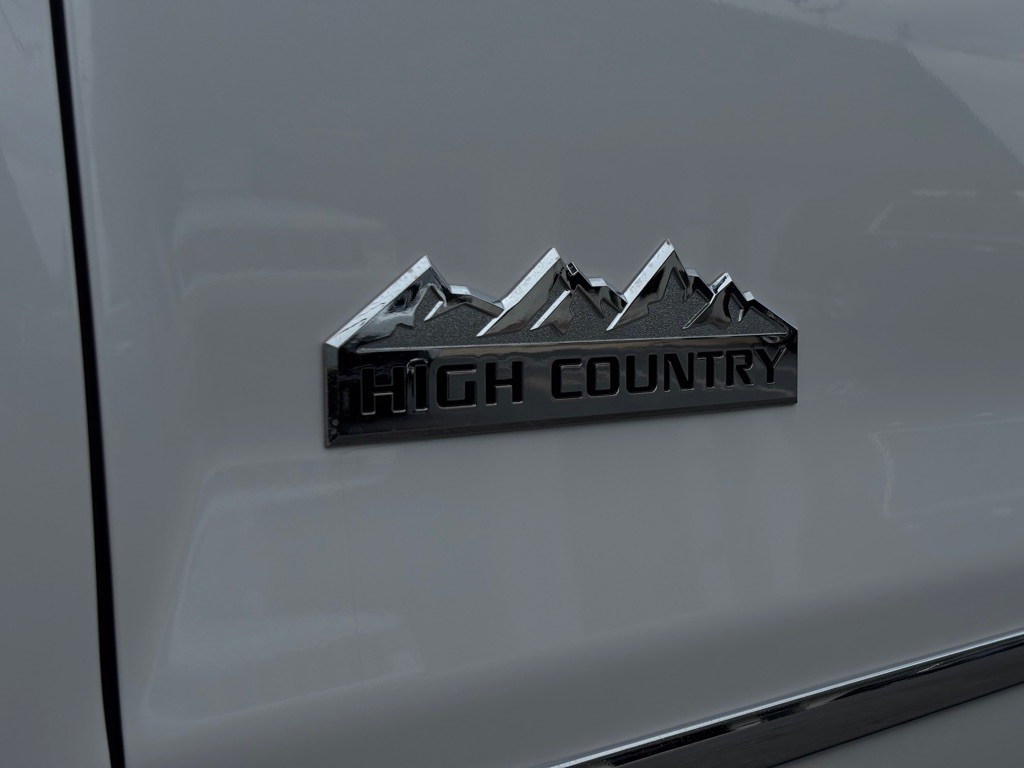 2019 Chevrolet Silverado 1500 Image 12