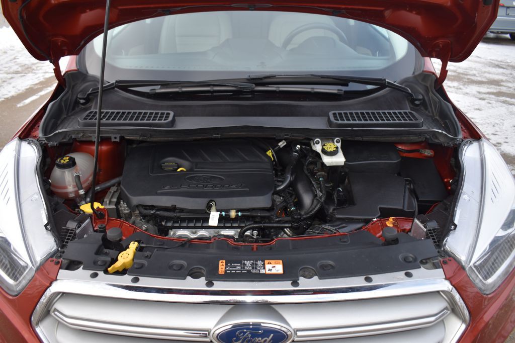 2019 Ford Escape Image 33