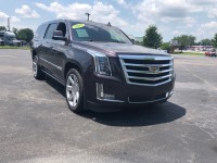 Image for 2015 Cadillac Escalade Esv Premium ID: 4299530