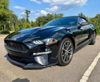 Image for 2019 Ford Mustang  ID: 6822556