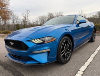 Image for 2019 Ford Mustang  ID: 7044665