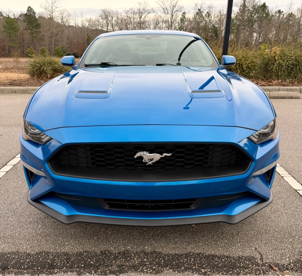 2019 Ford Mustang Image 2