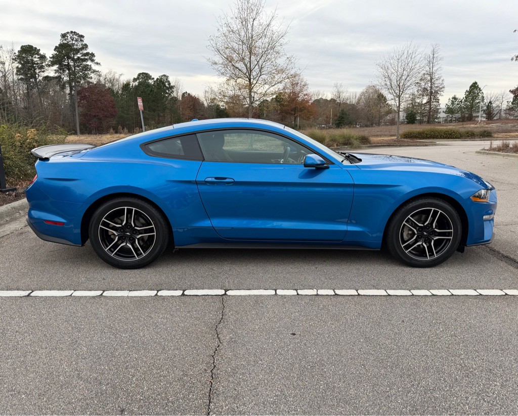 2019 Ford Mustang Image 4