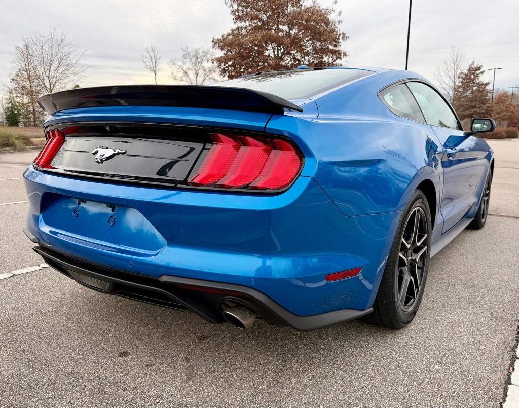 2019 Ford Mustang Image 5