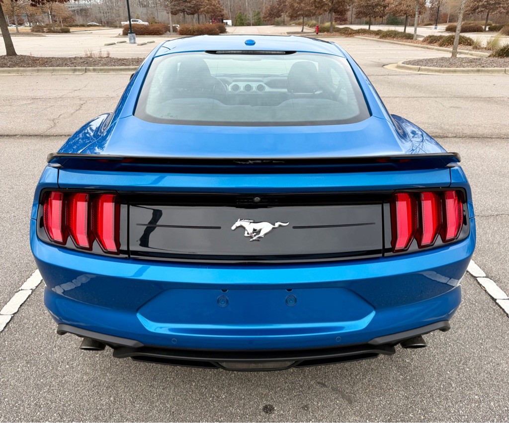 2019 Ford Mustang Image 6