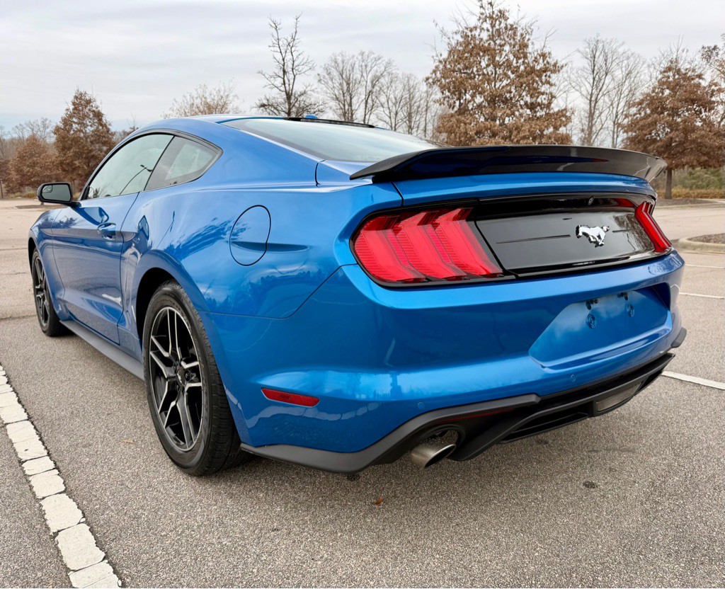 2019 Ford Mustang Image 7
