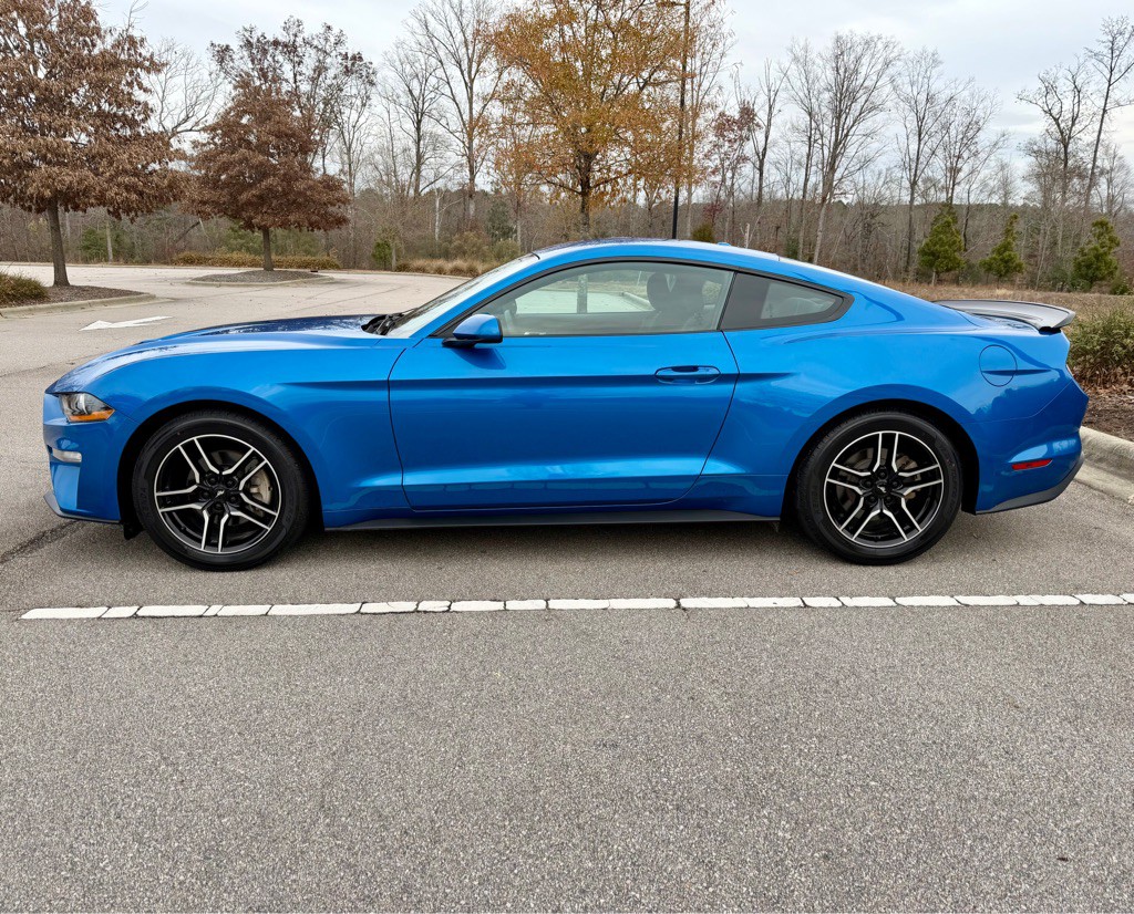 2019 Ford Mustang Image 8