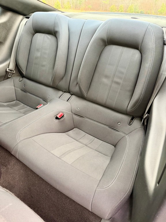 2019 Ford Mustang Image 13