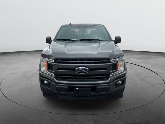 2019 Ford F-150 Image 3