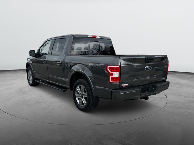 2019 Ford F-150 Image 4