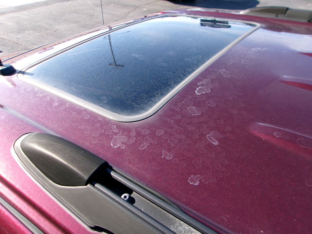2007 Chevrolet Trailblazer Image 13