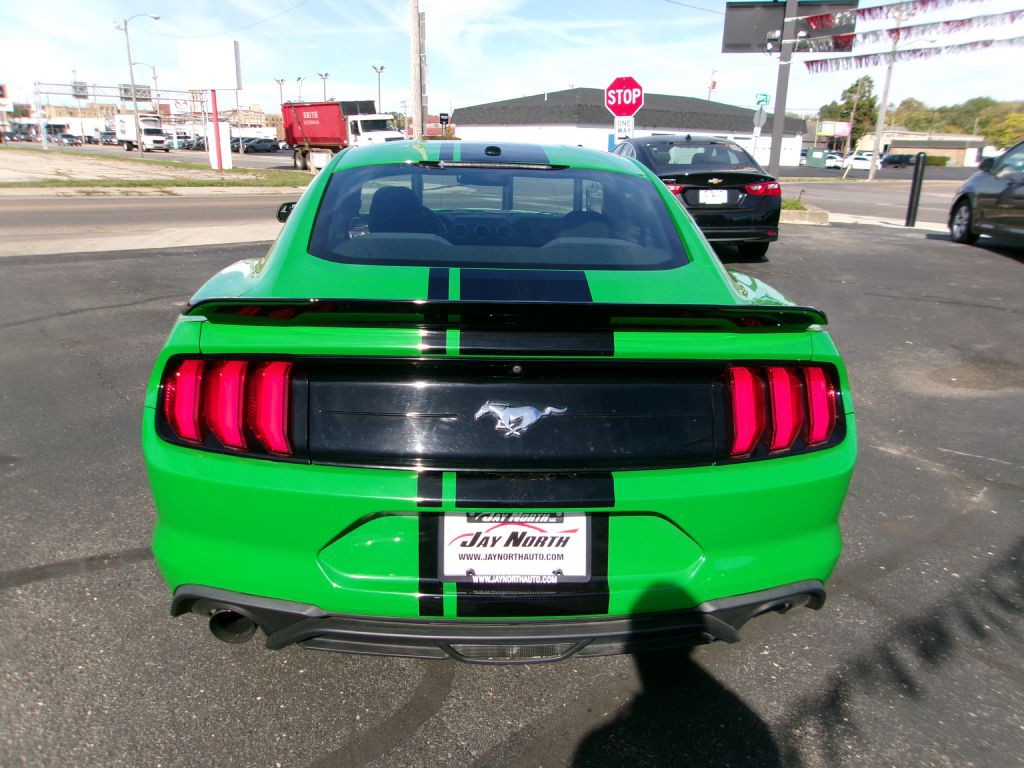 2019 Ford Mustang Image 5