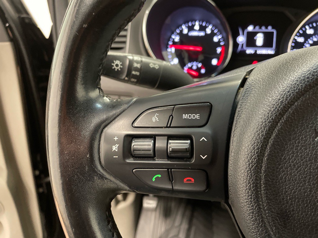 2017 Kia Sedona Image 30