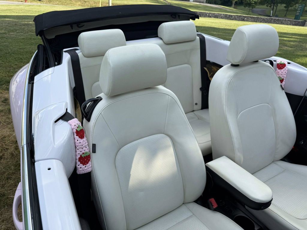 2010 Volkswagen Beetle Image 17