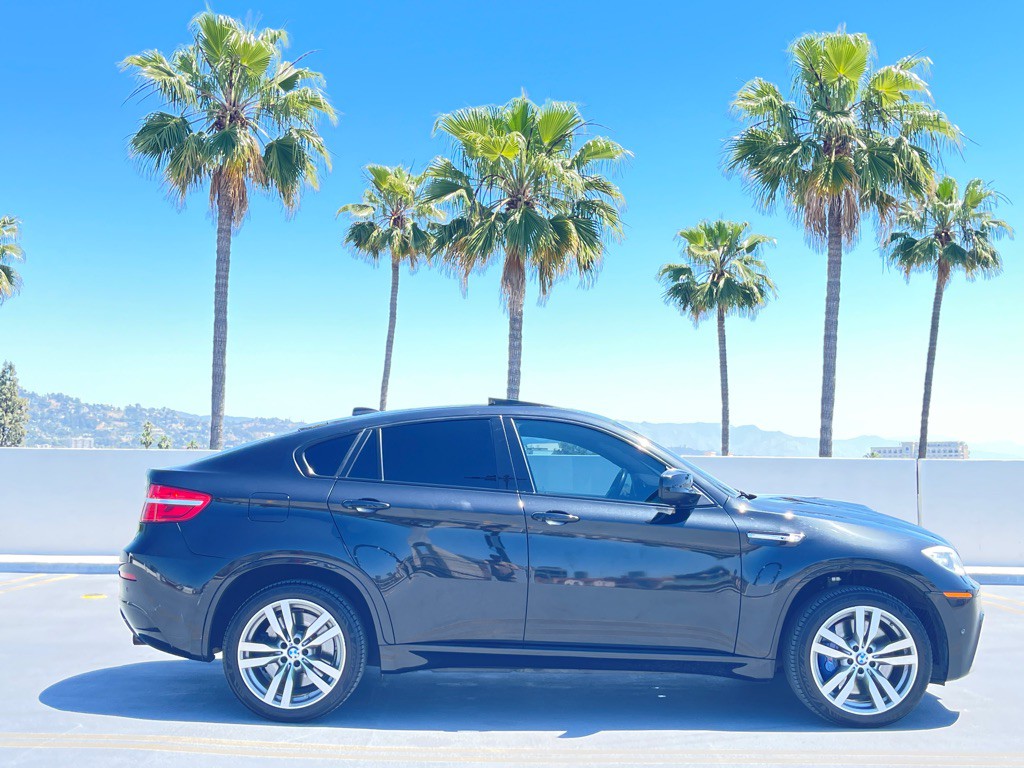 2014 BMW X6 Image 4