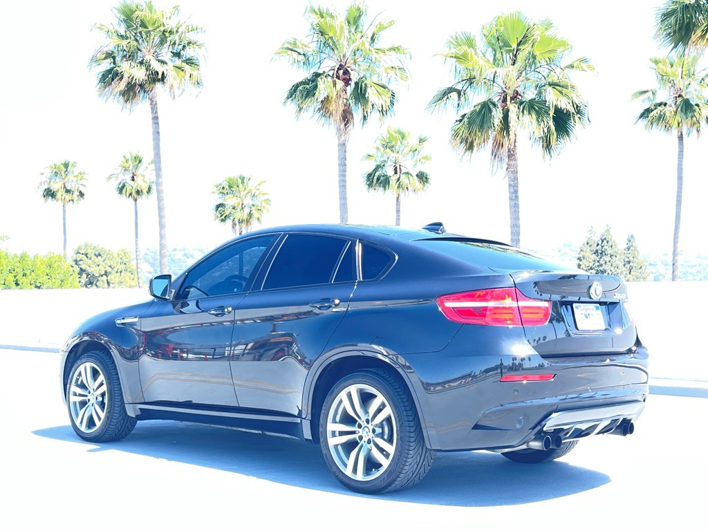 2014 BMW X6 Image 9