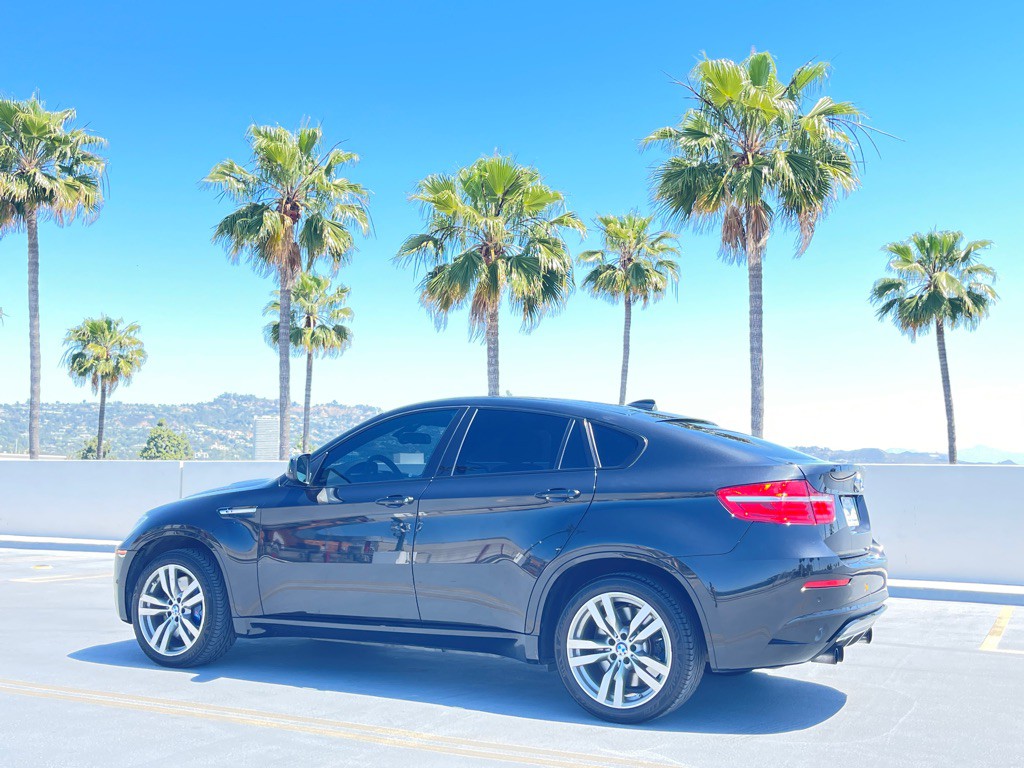 2014 BMW X6 Image 10