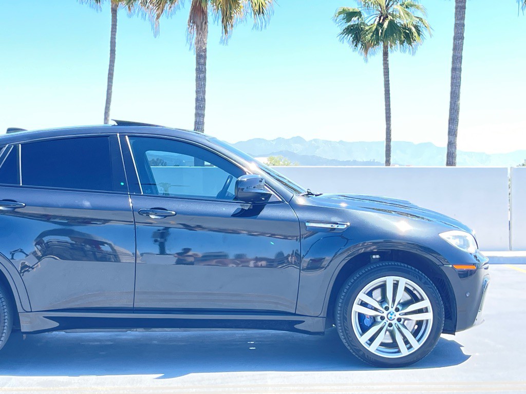 2014 BMW X6 Image 23