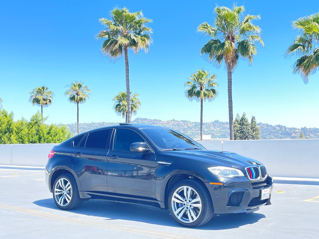 2014 BMW X6 Image 29