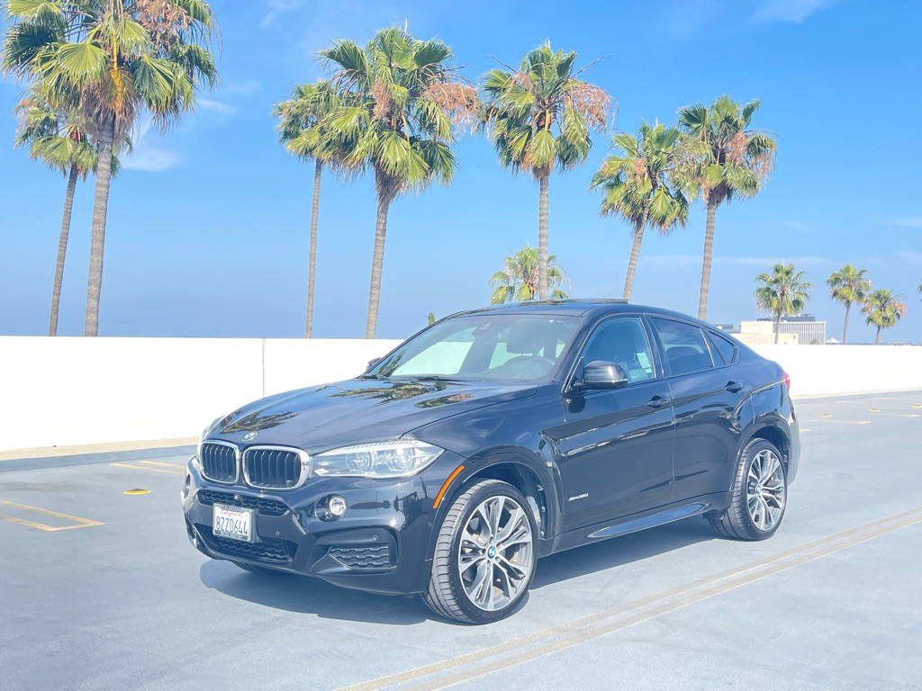 2019 BMW X6 Image 2