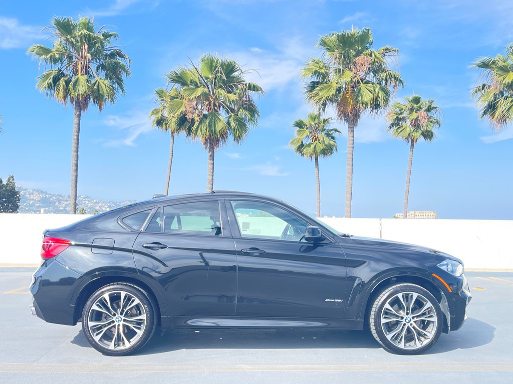 2019 BMW X6 Image 3