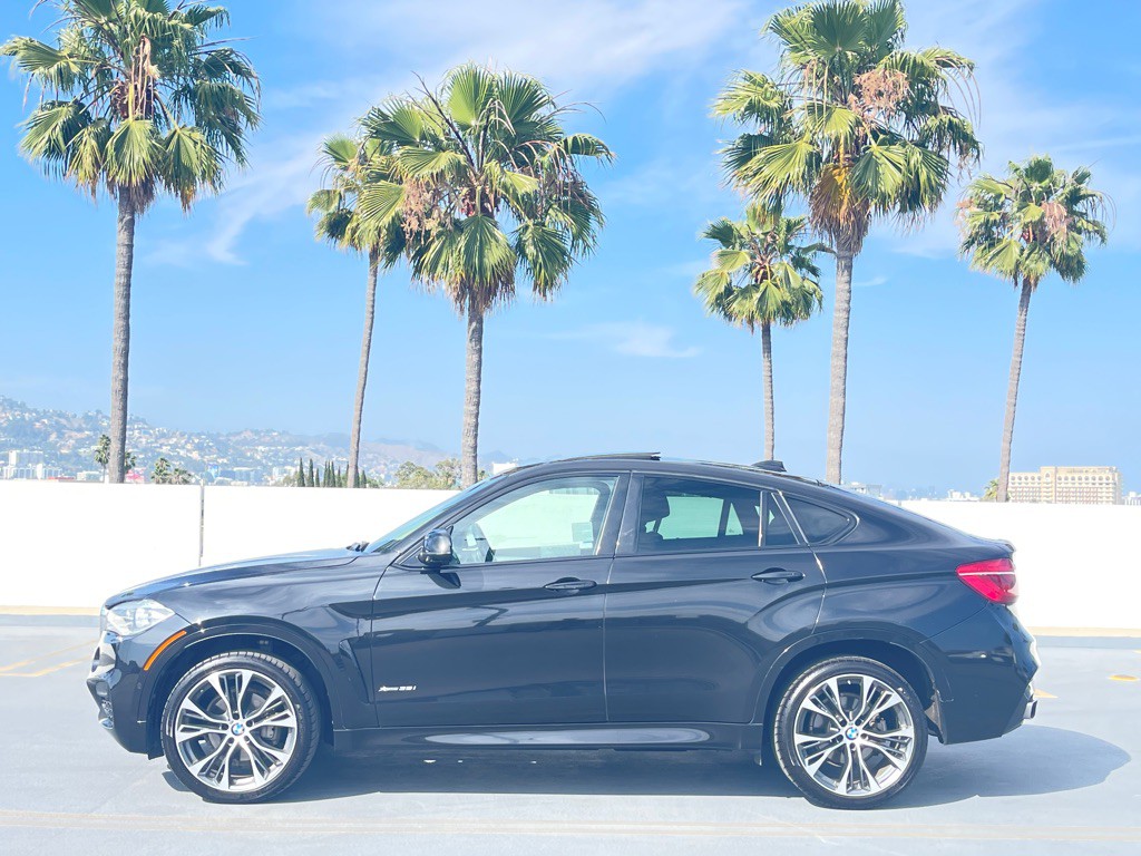 2019 BMW X6 Image 4