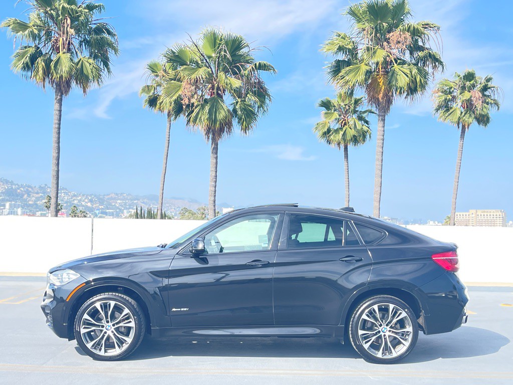 2019 BMW X6 Image 6