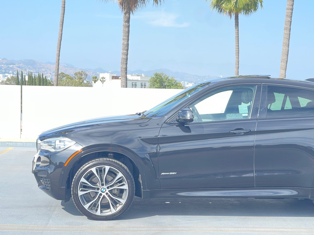 2019 BMW X6 Image 8