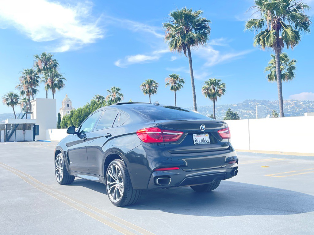 2019 BMW X6 Image 10