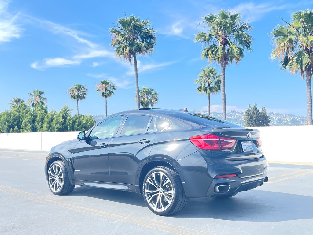 2019 BMW X6 Image 11