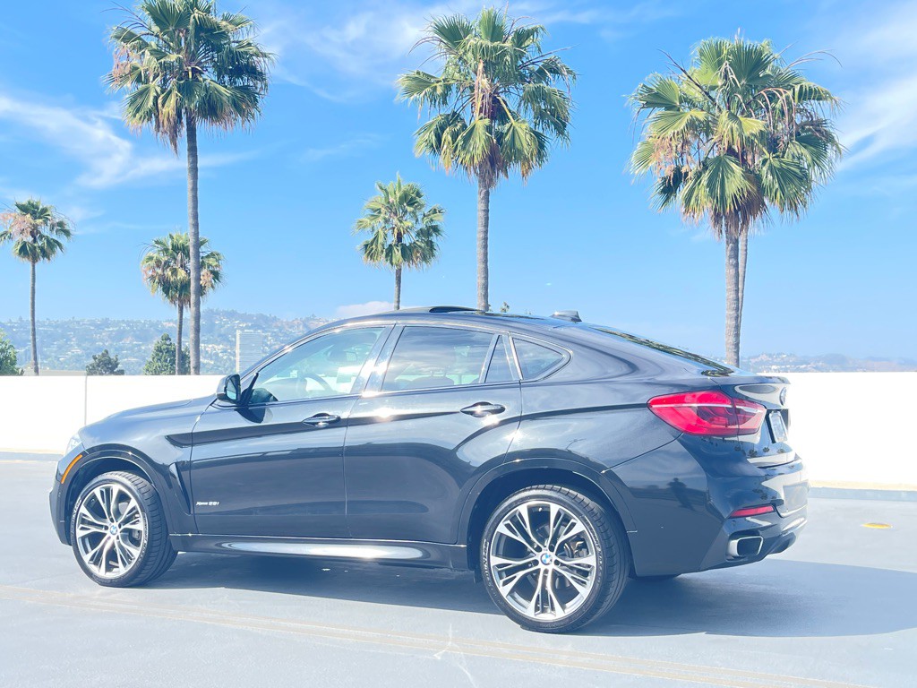 2019 BMW X6 Image 12