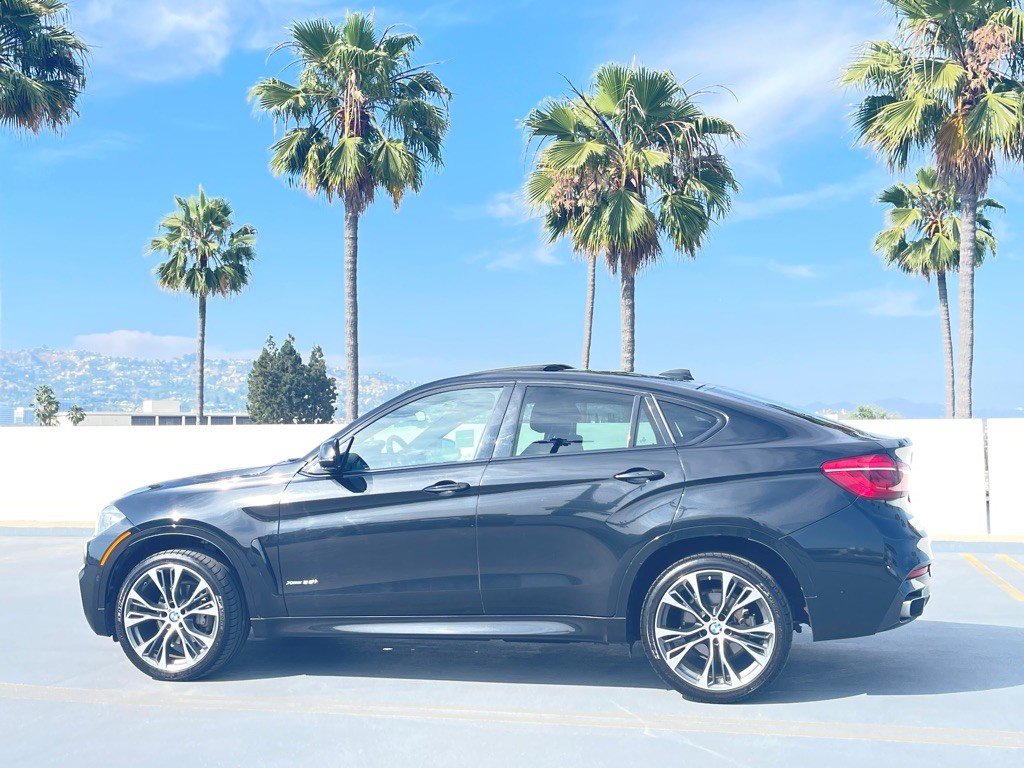 2019 BMW X6 Image 13