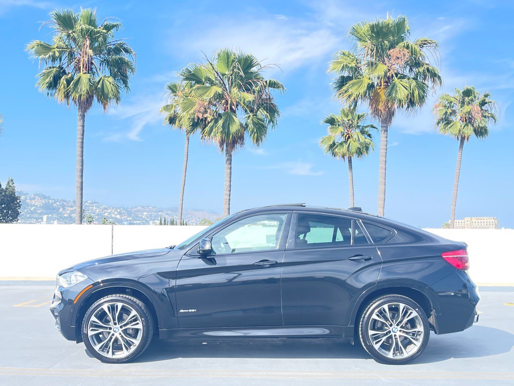 2019 BMW X6 Image 14