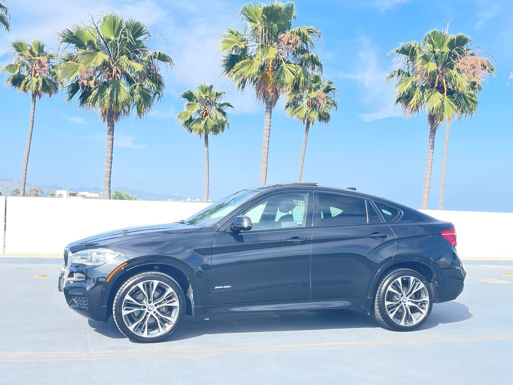 2019 BMW X6 Image 15