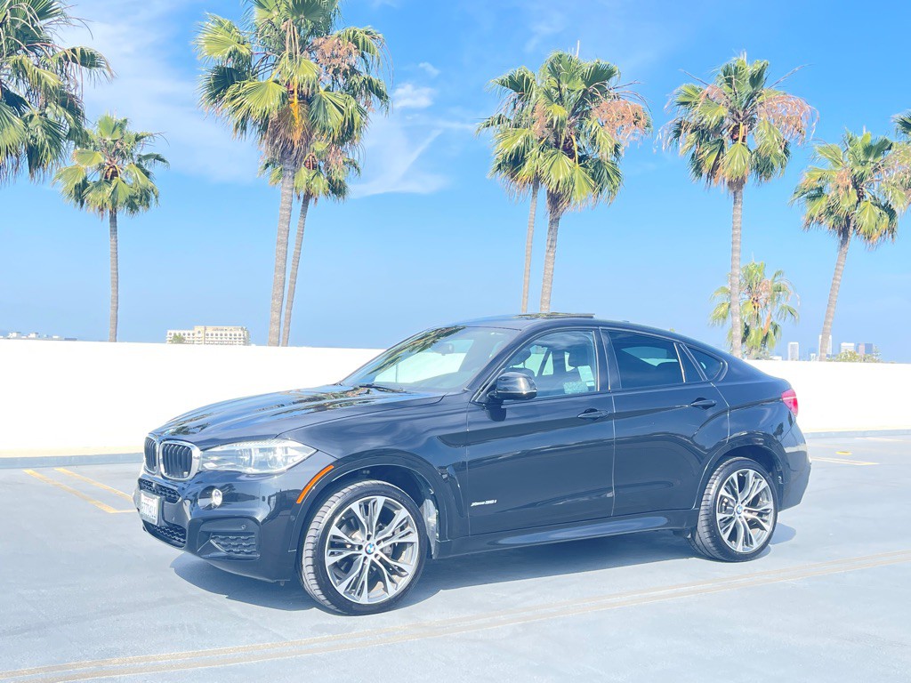2019 BMW X6 Image 16