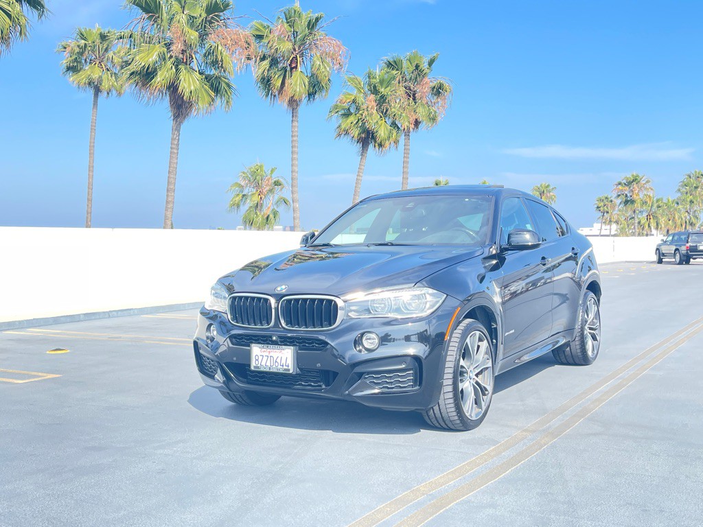 2019 BMW X6 Image 17