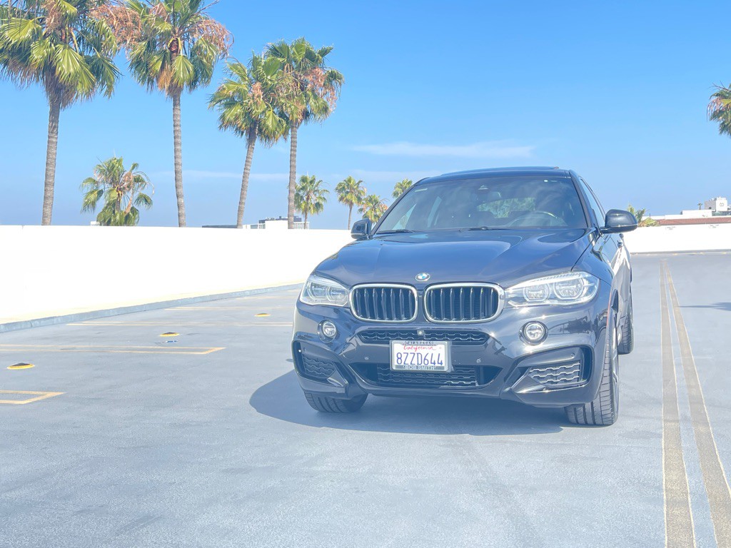 2019 BMW X6 Image 18