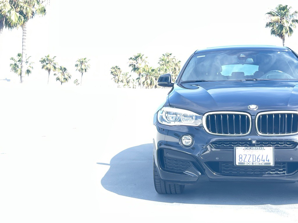 2019 BMW X6 Image 19