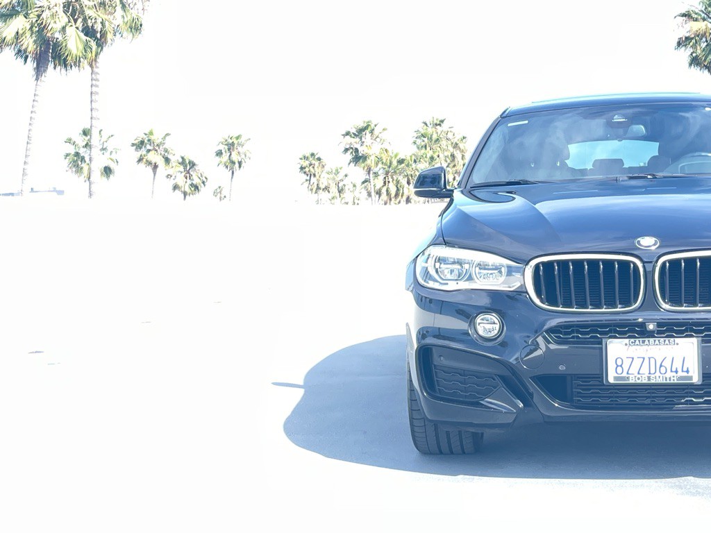 2019 BMW X6 Image 20