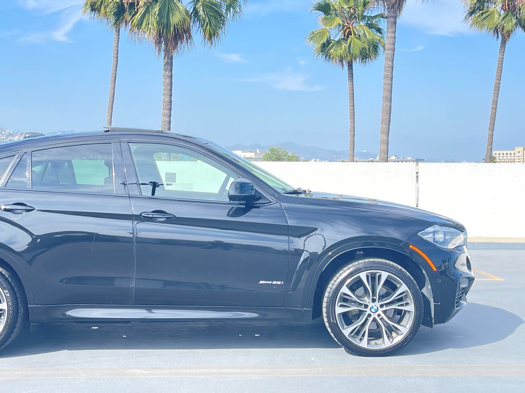 2019 BMW X6 Image 25