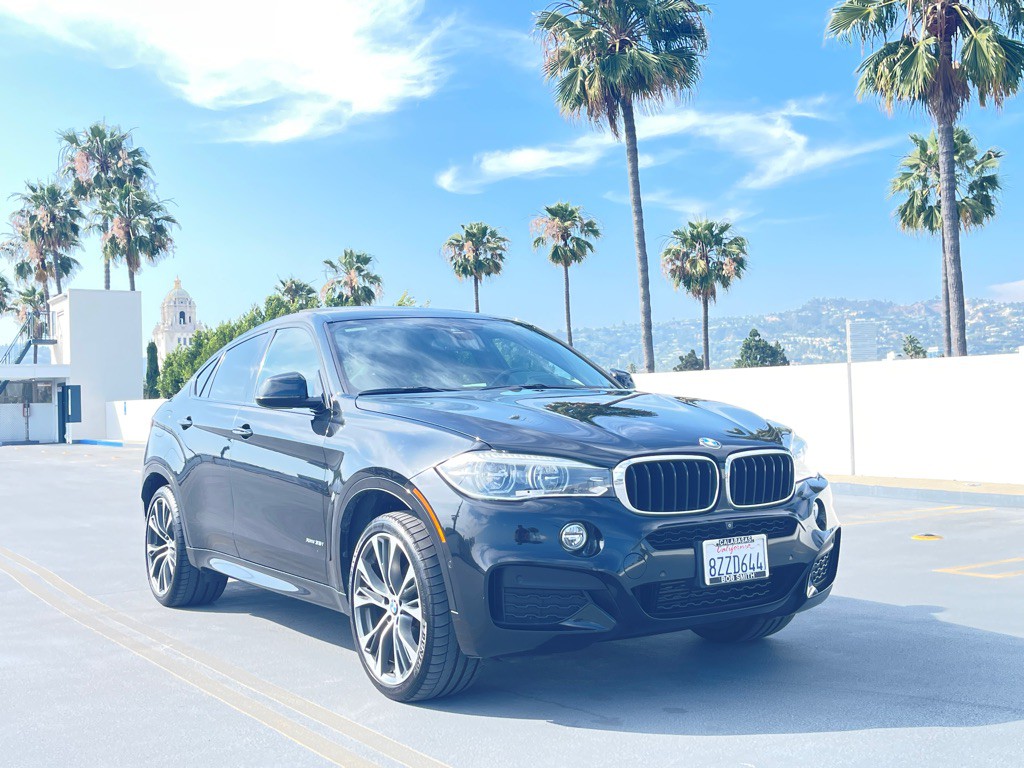 2019 BMW X6 Image 29
