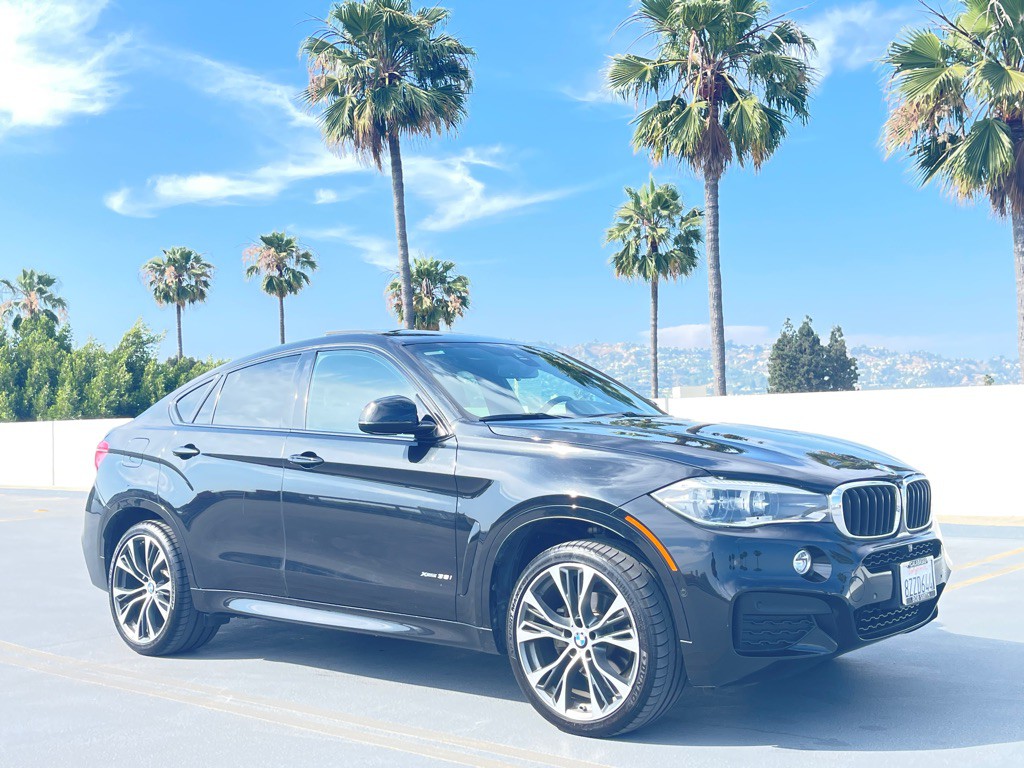 2019 BMW X6 Image 30