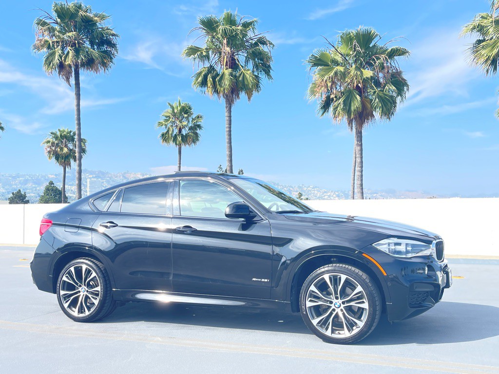 2019 BMW X6 Image 31